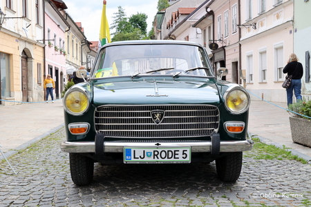 Mednarodna revija starodobnikov (73)